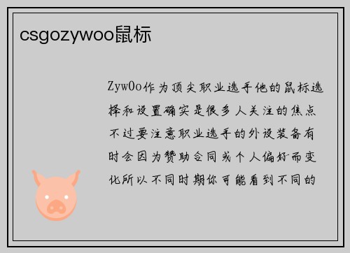 csgozywoo鼠标