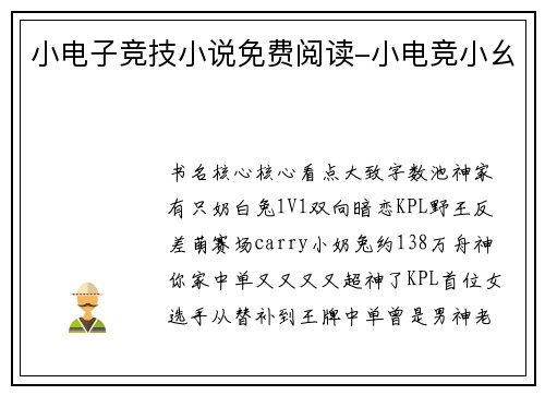 小电子竞技小说免费阅读-小电竞小幺